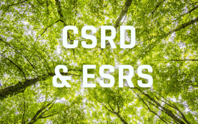 CSRD & ESRS: Überblick, Links, 6 Tipps zum effizienten Einstieg