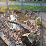 Frisch angelegter kleiner Naturteich mit flachen Ufern, Steinen, Totholz und Wasserpflanzen