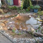 Kleiner Naturteich im Vorgarten mit Sandboden, Steinen, Totholz und Wasserpflanzen