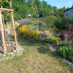 Naturnaher Garten mit dicht bepflanzten Beeten, Stauden und geschwungenem Gartenweg