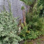 Dicht bewachsene Gartenecke mit Gehölzen, Farnen, Totholz und unterschiedlichen Strukturen