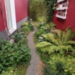 Dicht bewachsenes Schattenbeet zwischen Haus und Garage mit hohen Farnen entlang des schmalen Gartenwegs
