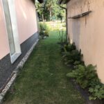 Schmaler Rasenstreifen zwischen Haus und Garage vor der Anlage des Schattenbeets