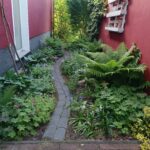Üppiges Schattenbeet mit Farnen, Bodendeckern und unterschiedlichen grünen Blattstrukturen entlang des Gartenwegs
